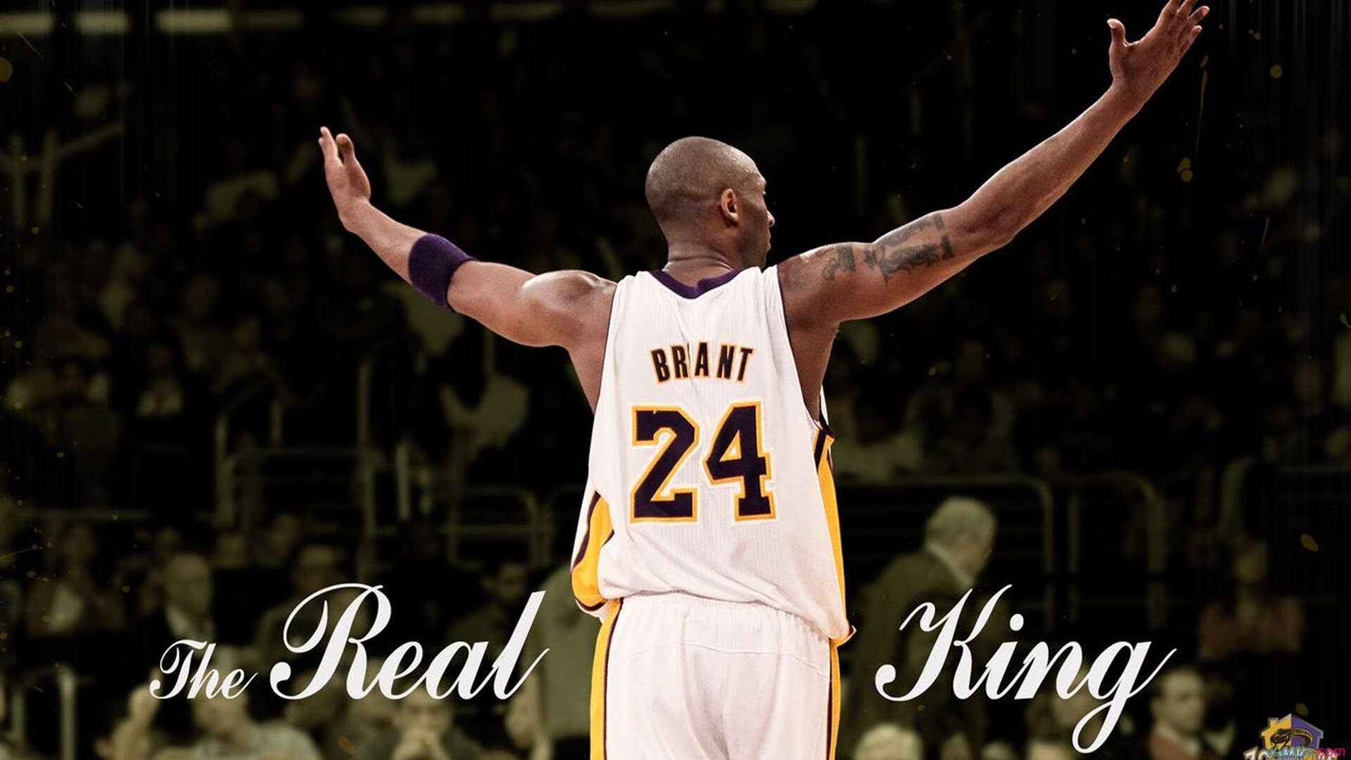 世界杯球员心理辅导案例分享